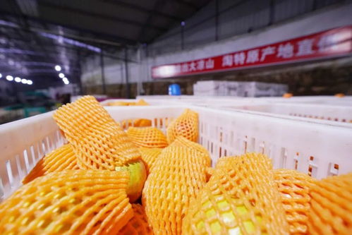 淘特弄 潮 ,小鎮(zhèn)青年有了潮品直營(yíng)店