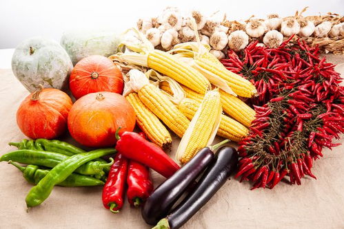 直播帶貨食品需要辦理營(yíng)業(yè)執(zhí)照 食品經(jīng)營(yíng)許可嗎